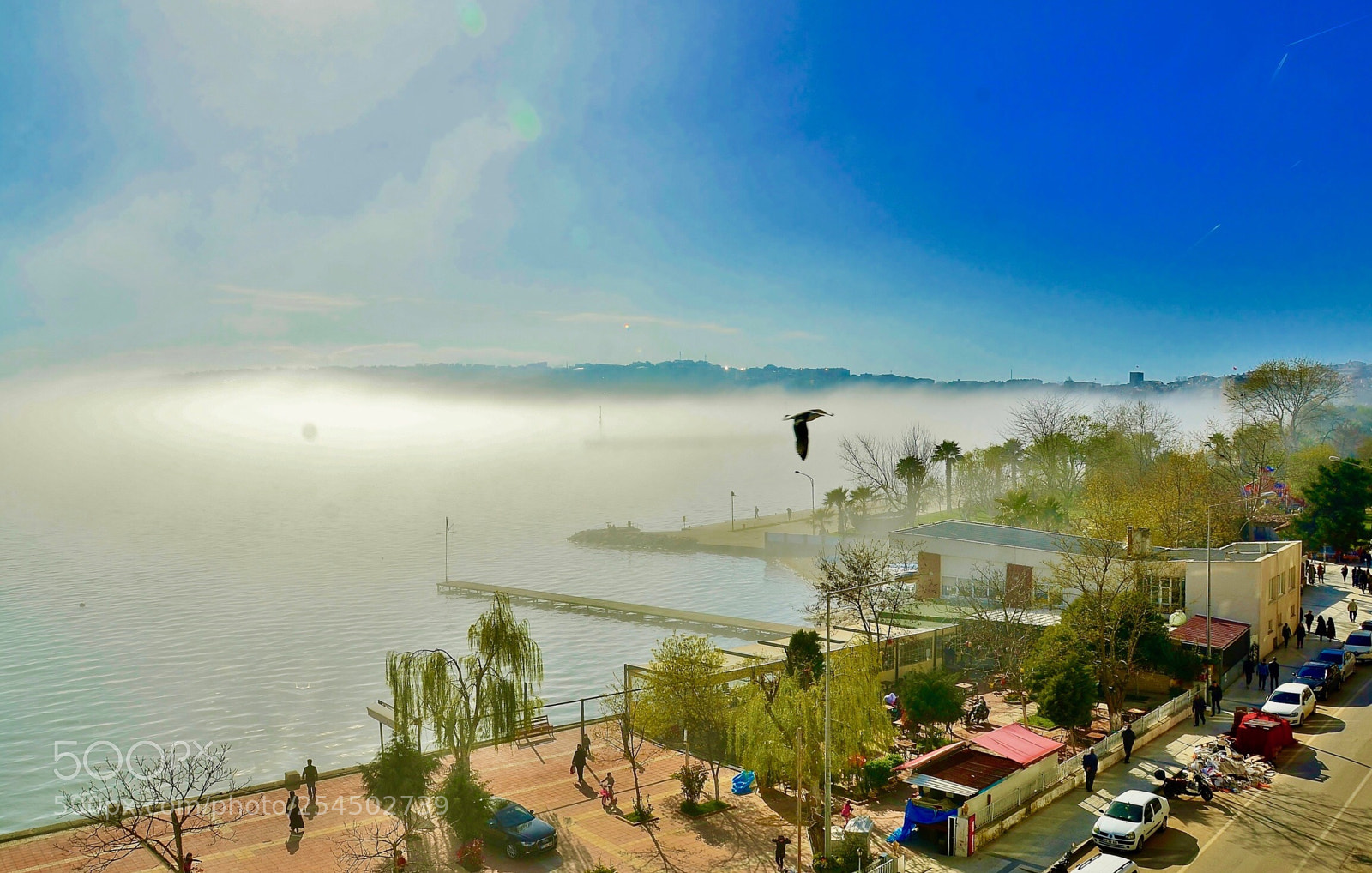 Nikon D7000 sample photo. Foggy morning in sinop  photography