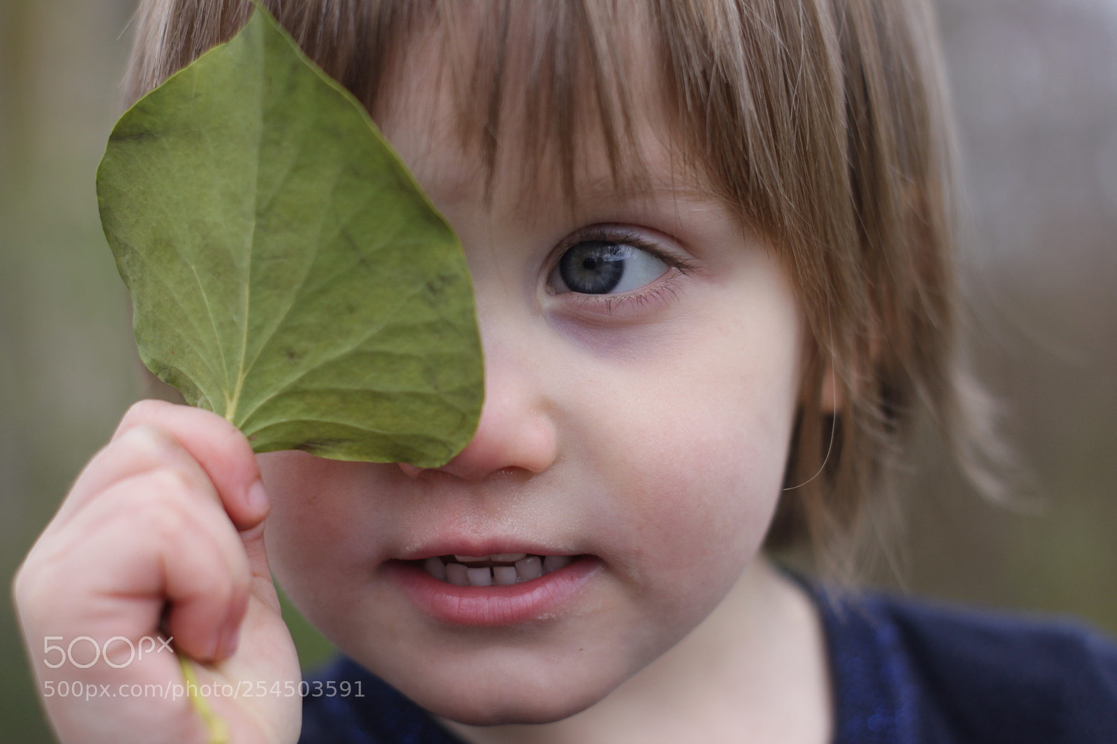 Canon EOS 500D (EOS Rebel T1i / EOS Kiss X3) sample photo. The leaf photography