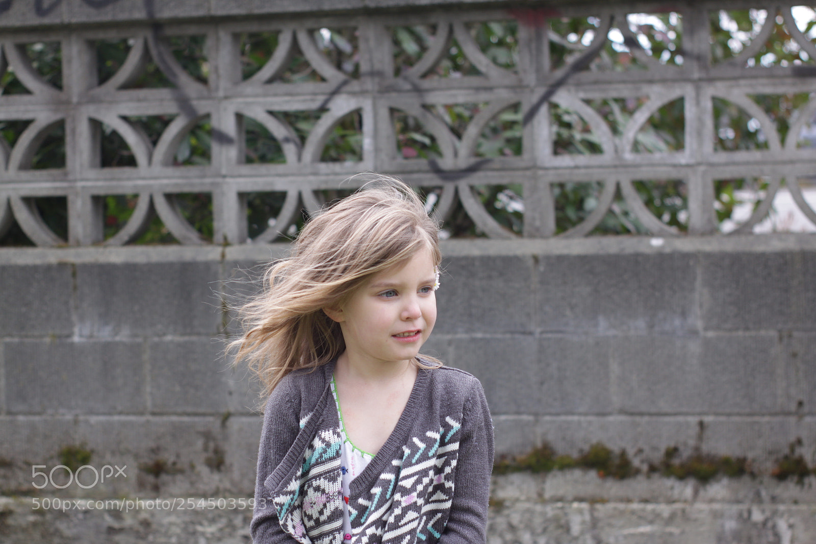Canon EOS 500D (EOS Rebel T1i / EOS Kiss X3) sample photo. Windy day photography