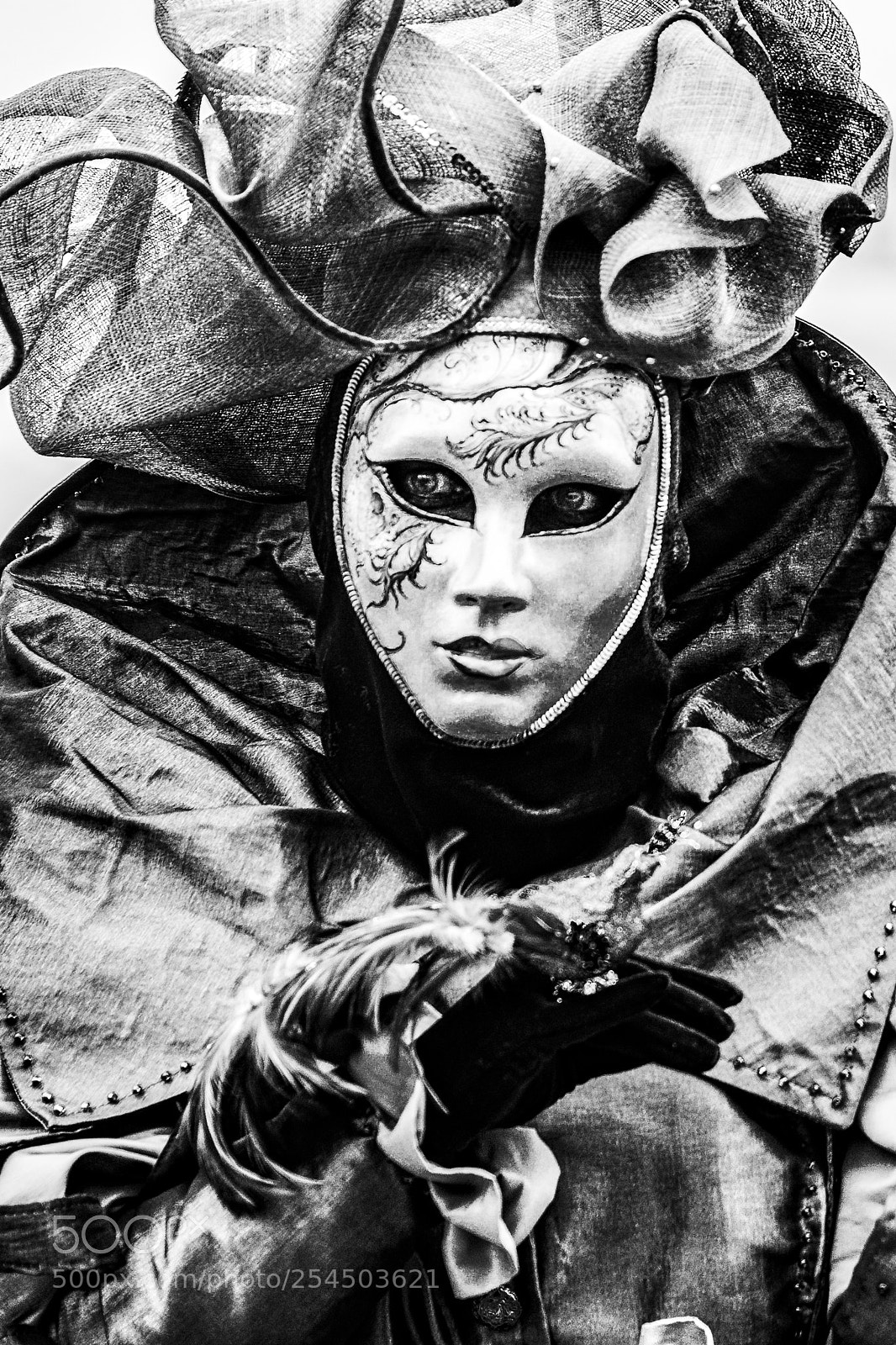 Nikon D610 sample photo. Venice carnival photography