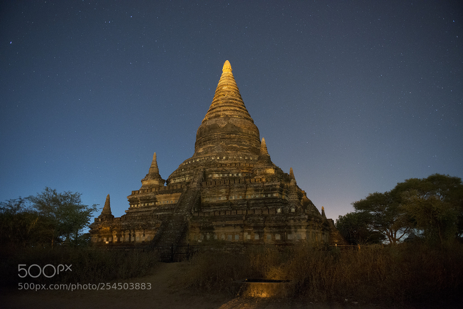 Nikon D800E sample photo. Pagoda at night photography