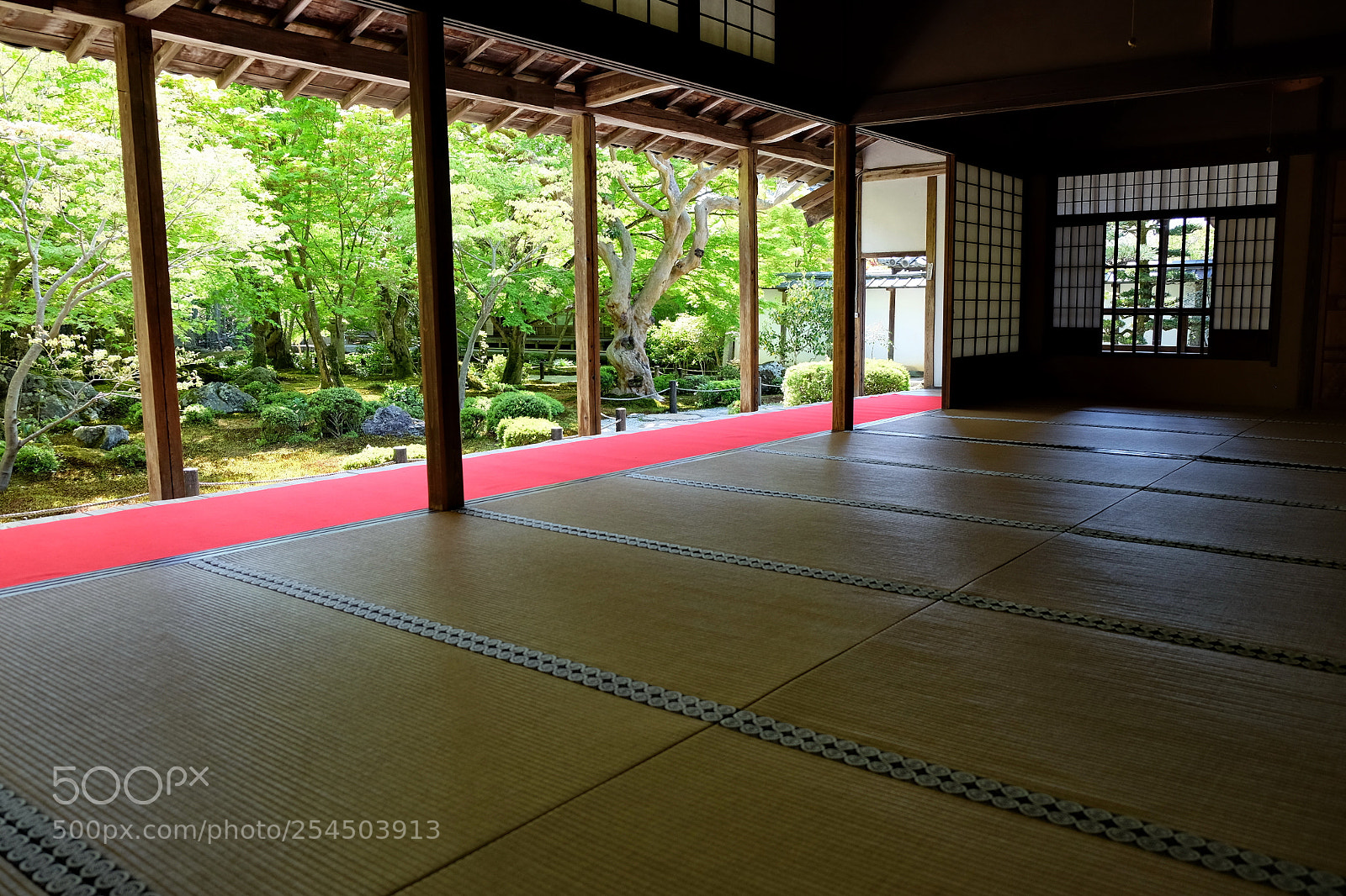 Fujifilm X-T1 sample photo. Silent photography