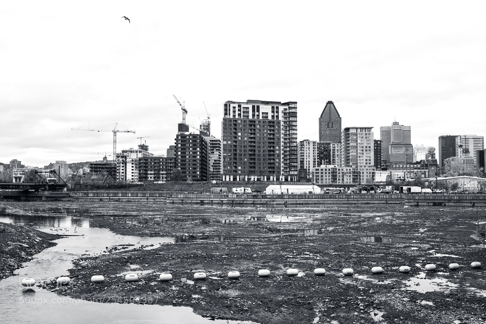 Nikon D5200 sample photo. Montreal, dry canal lachine  photography