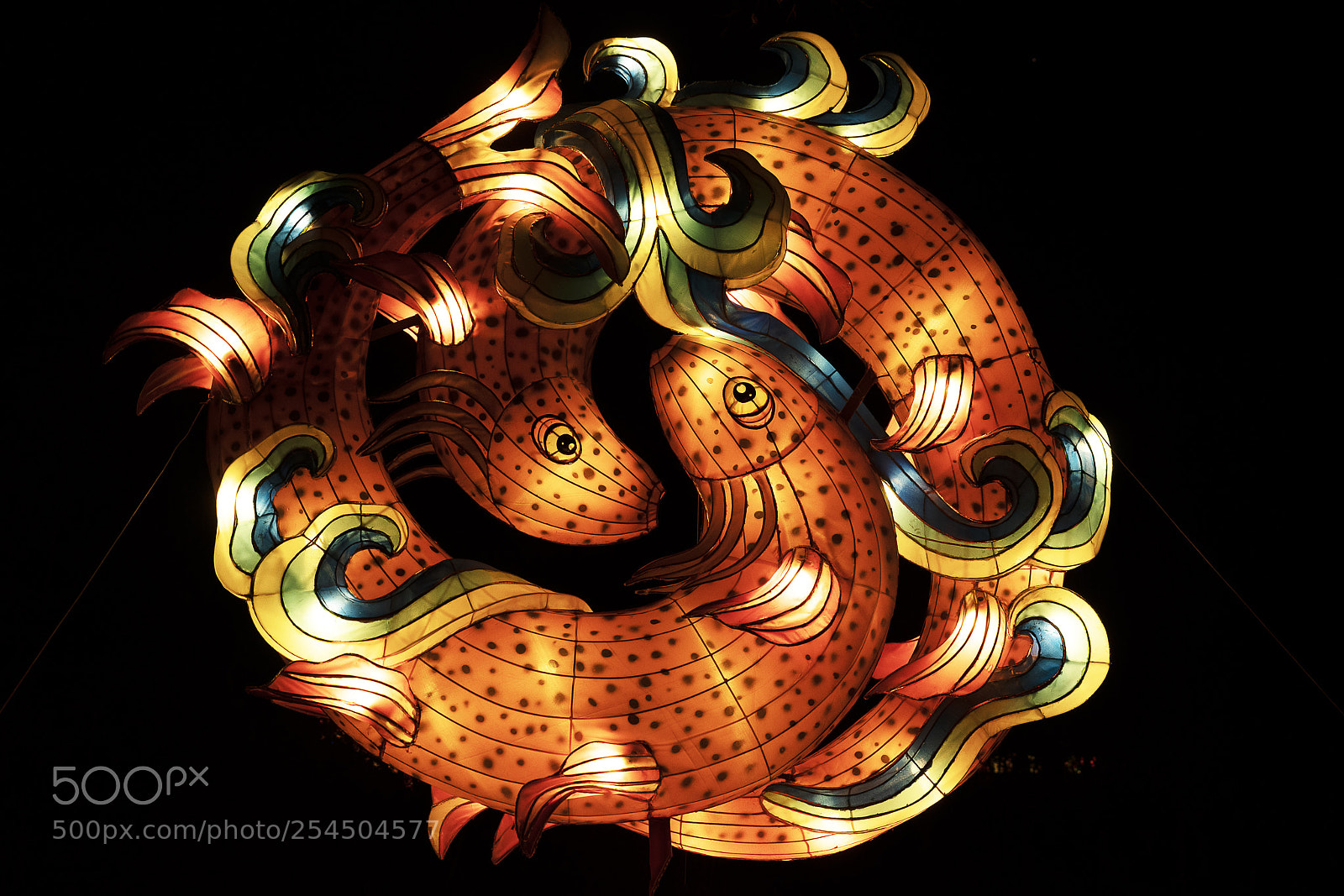 Sony a7R III sample photo. Neon lantern light art photography