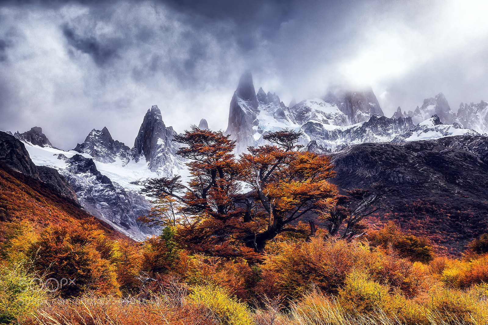 Canon EOS 5D Mark IV sample photo. The colors of autumn photography