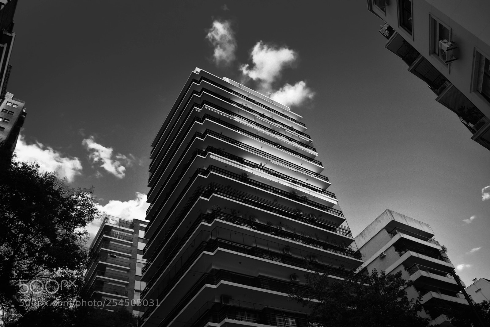 Nikon D5300 sample photo. Belgrano photography