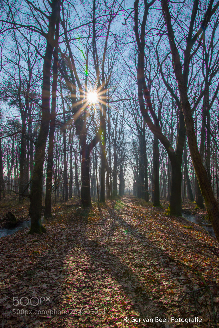 Nikon D610 sample photo. Sunbeam photography