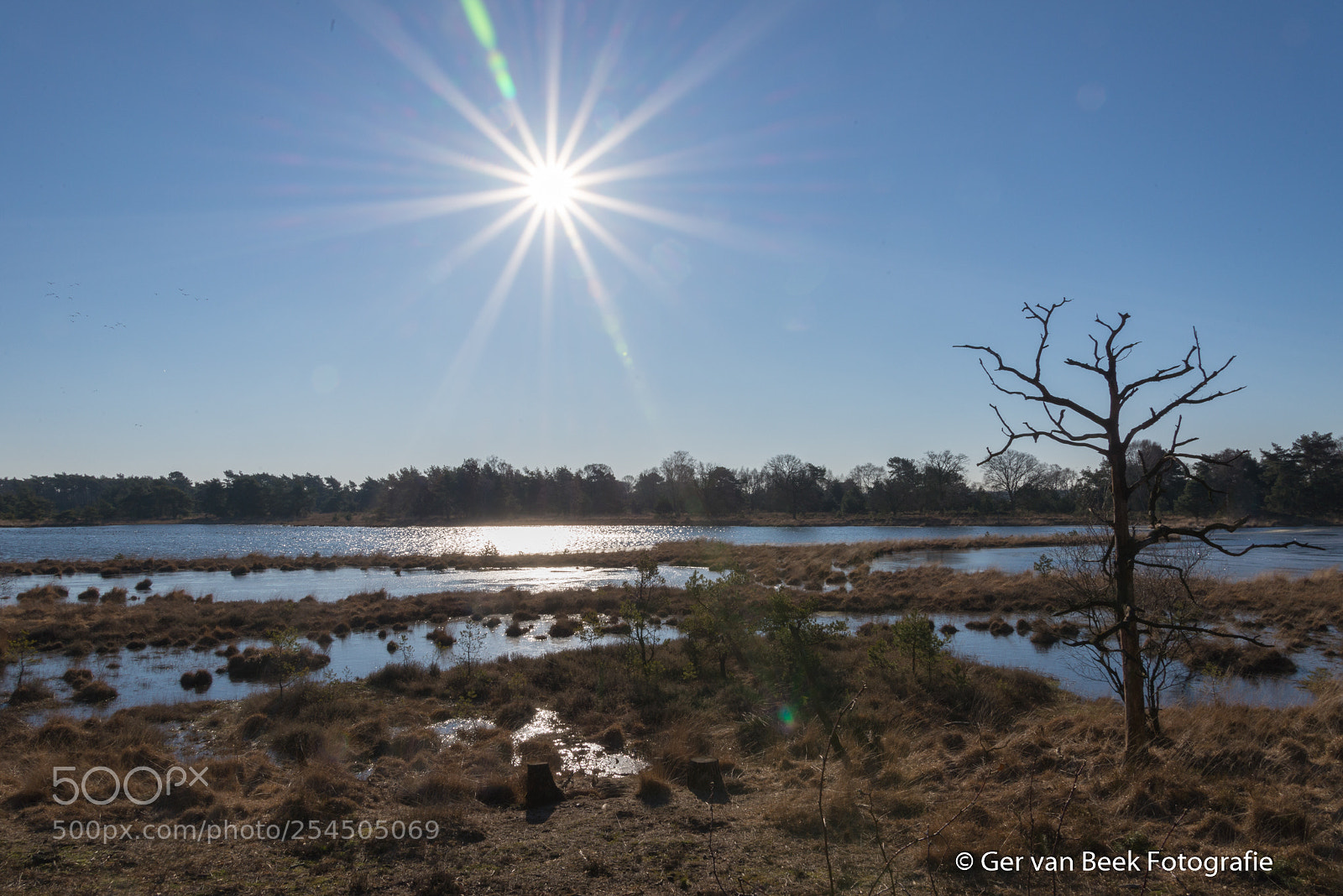 Nikon D610 sample photo. Kogelvangersven photography