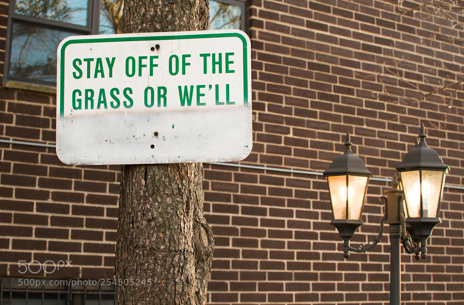 Nikon D5300 sample photo. Stay off the grass photography