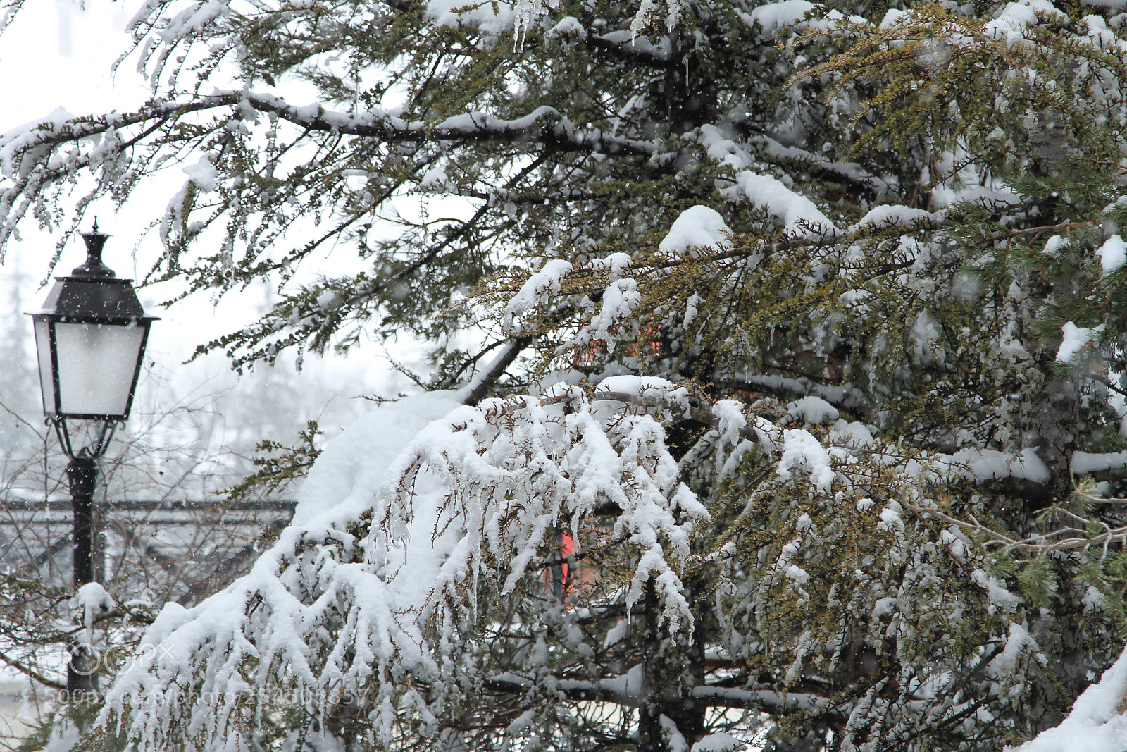 Canon EOS 7D + Canon EF 24-105mm F4L IS USM sample photo. Winter time photography
