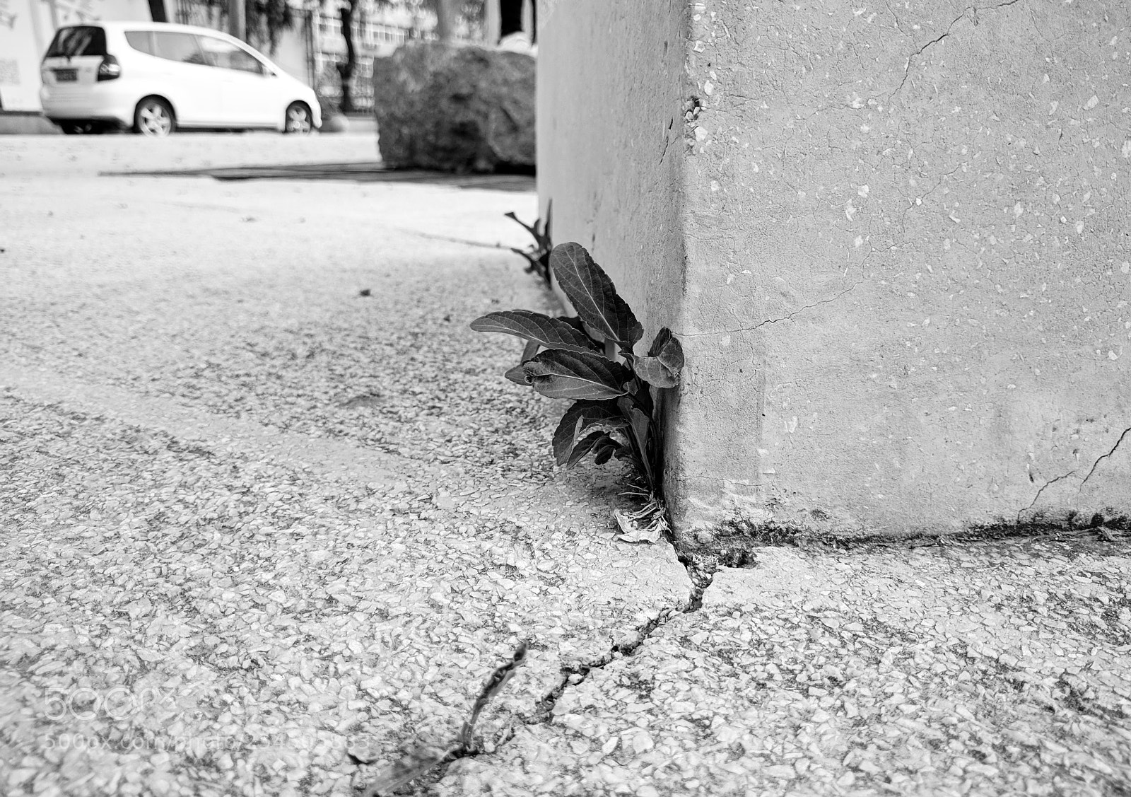 Google Nexus 6P sample photo. Untitled photography
