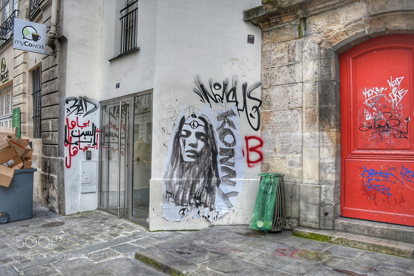 Nikon D7200 sample photo. #artecallejero #streetart #paris #francia?? photography