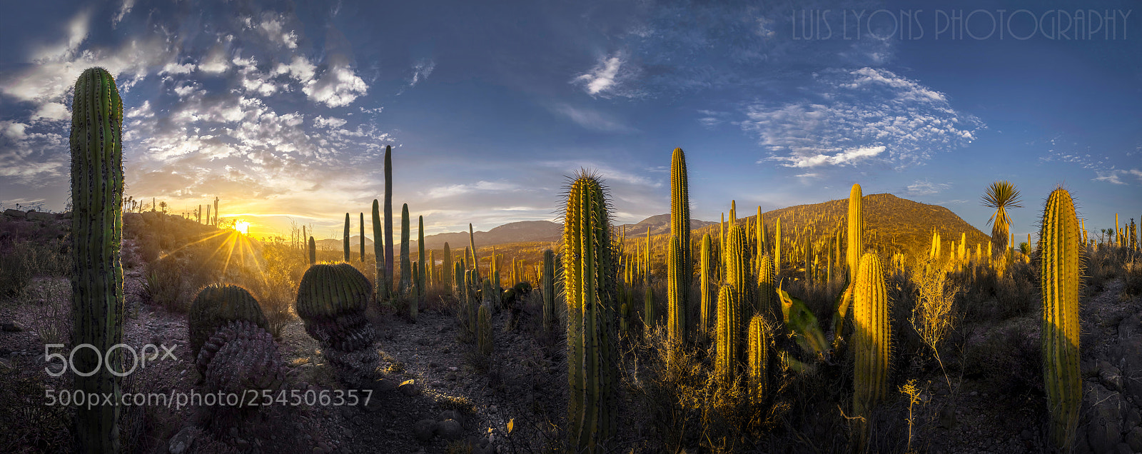 Nikon D5100 sample photo. Last sunrays in a photography