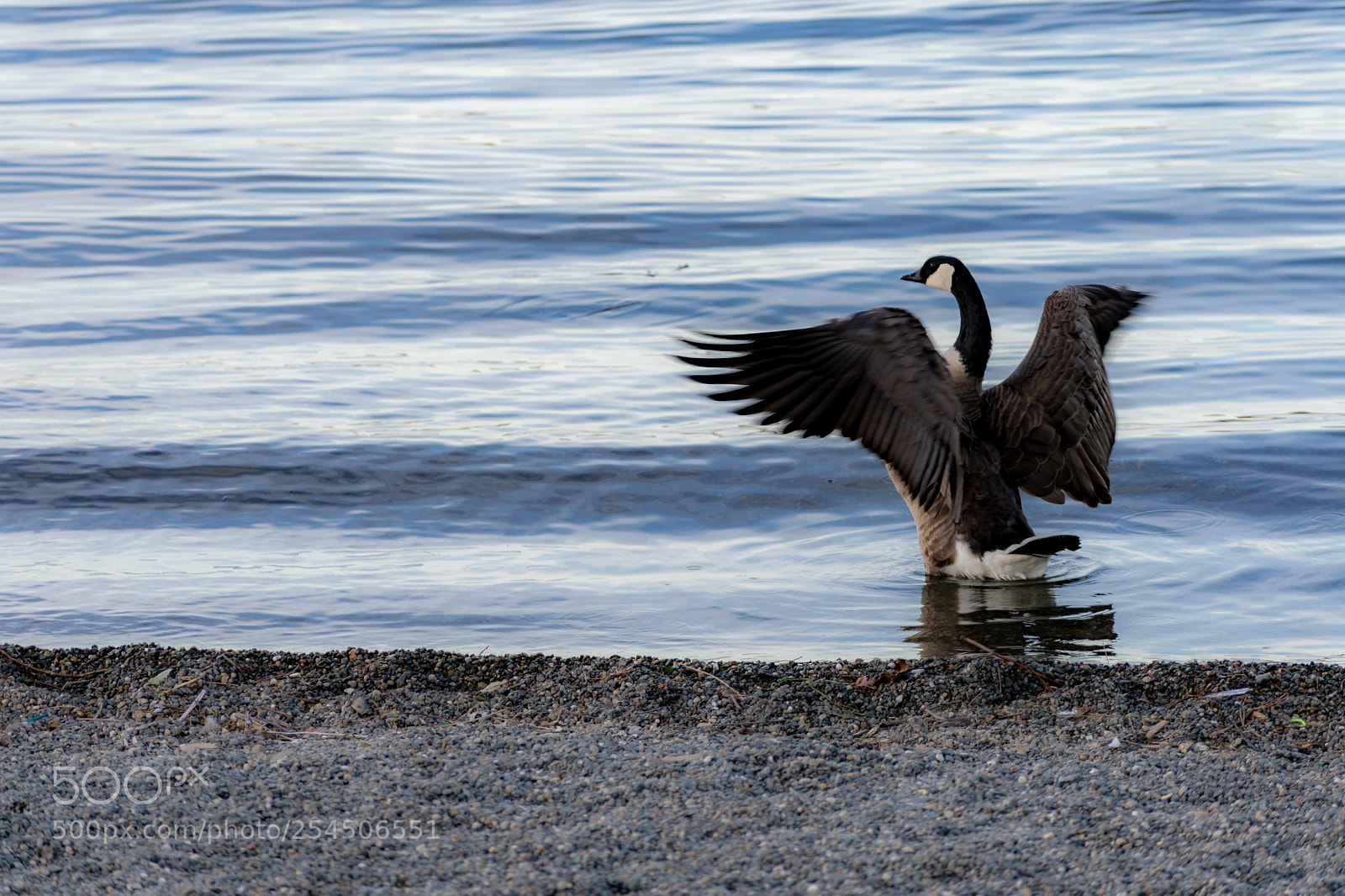 Nikon D3400 sample photo. Time for a dip photography