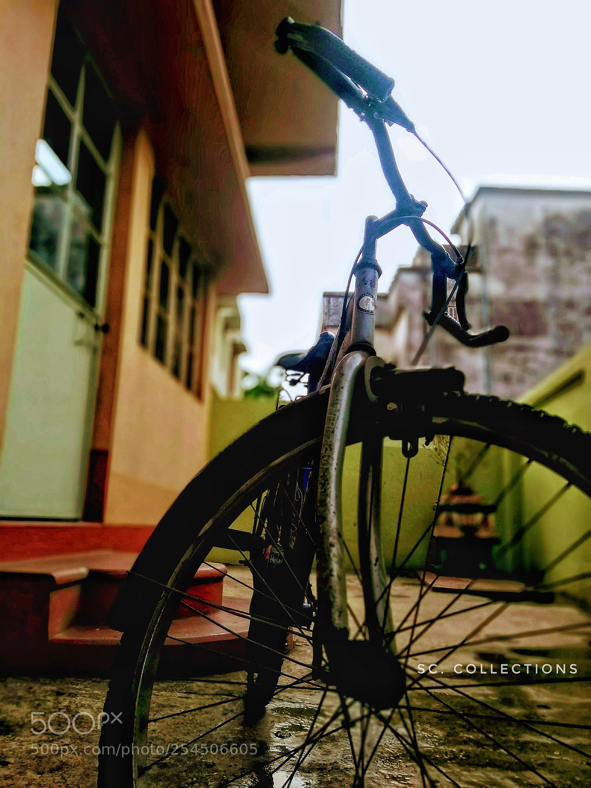 Motorola Moto G (5S) Plus sample photo. Untitled photography