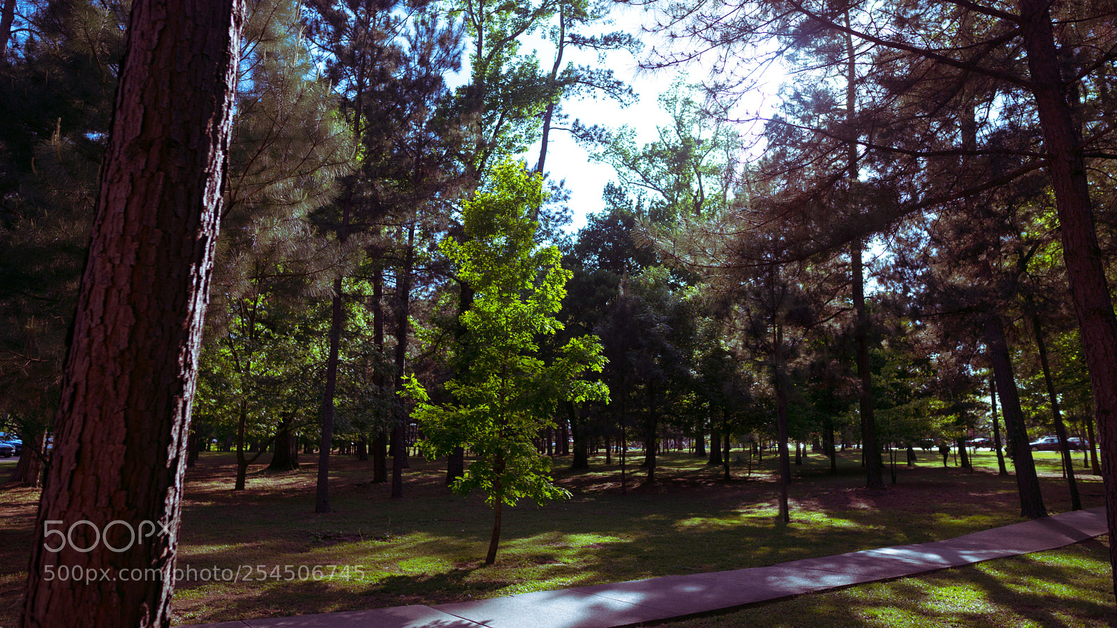 Sony a6000 sample photo. Dsc07948-2.jpg photography