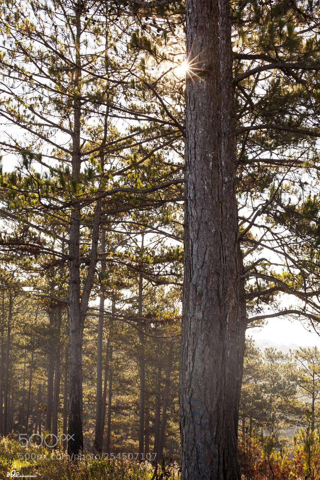 Canon EOS 5D Mark II sample photo. Img photography