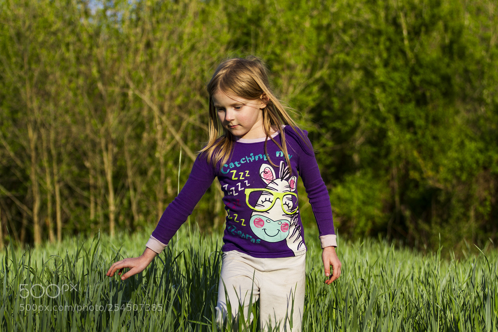 Canon EOS 7D sample photo. In the field photography
