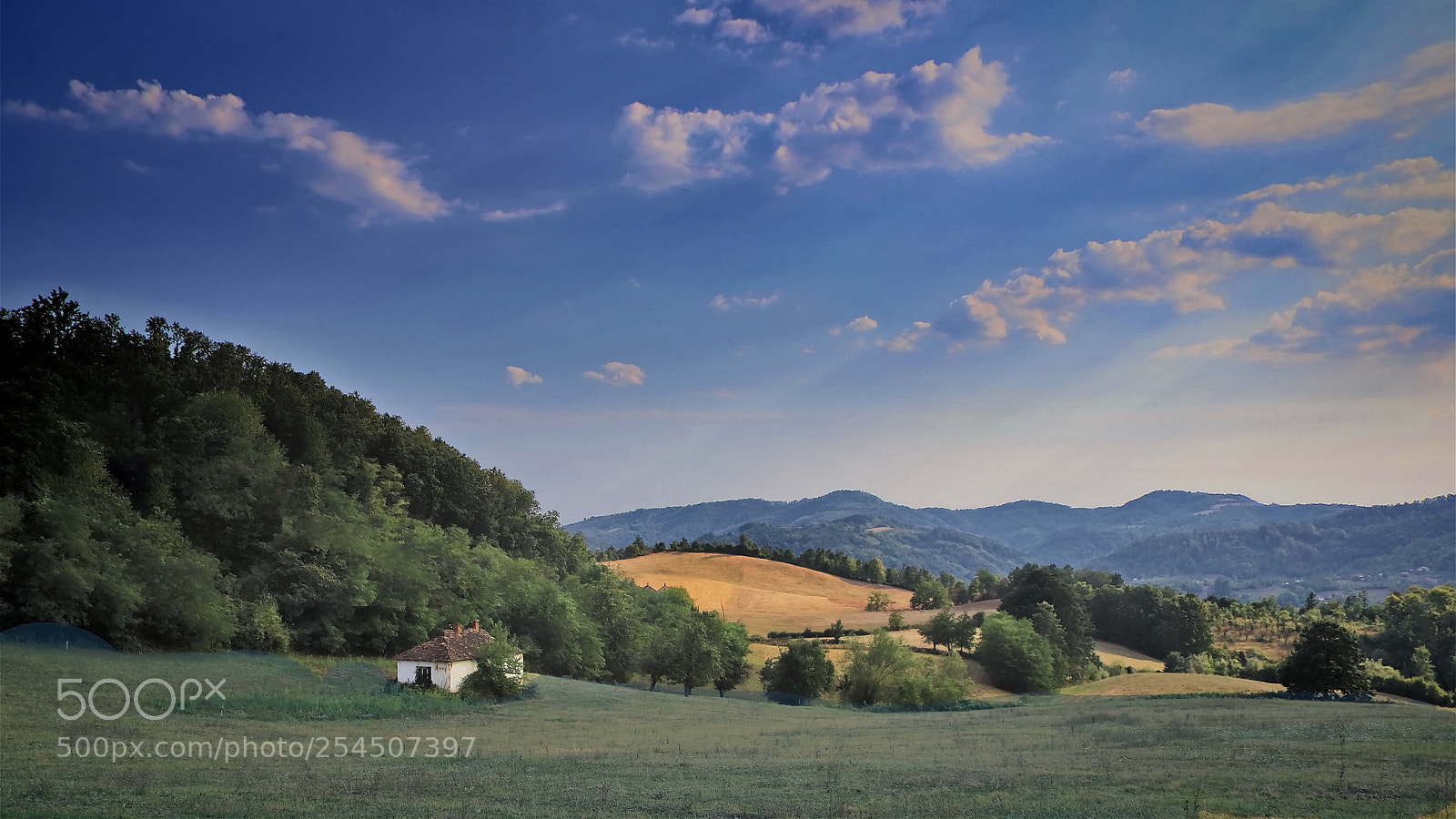 Canon EOS 6D Mark II sample photo. Sumadija photography