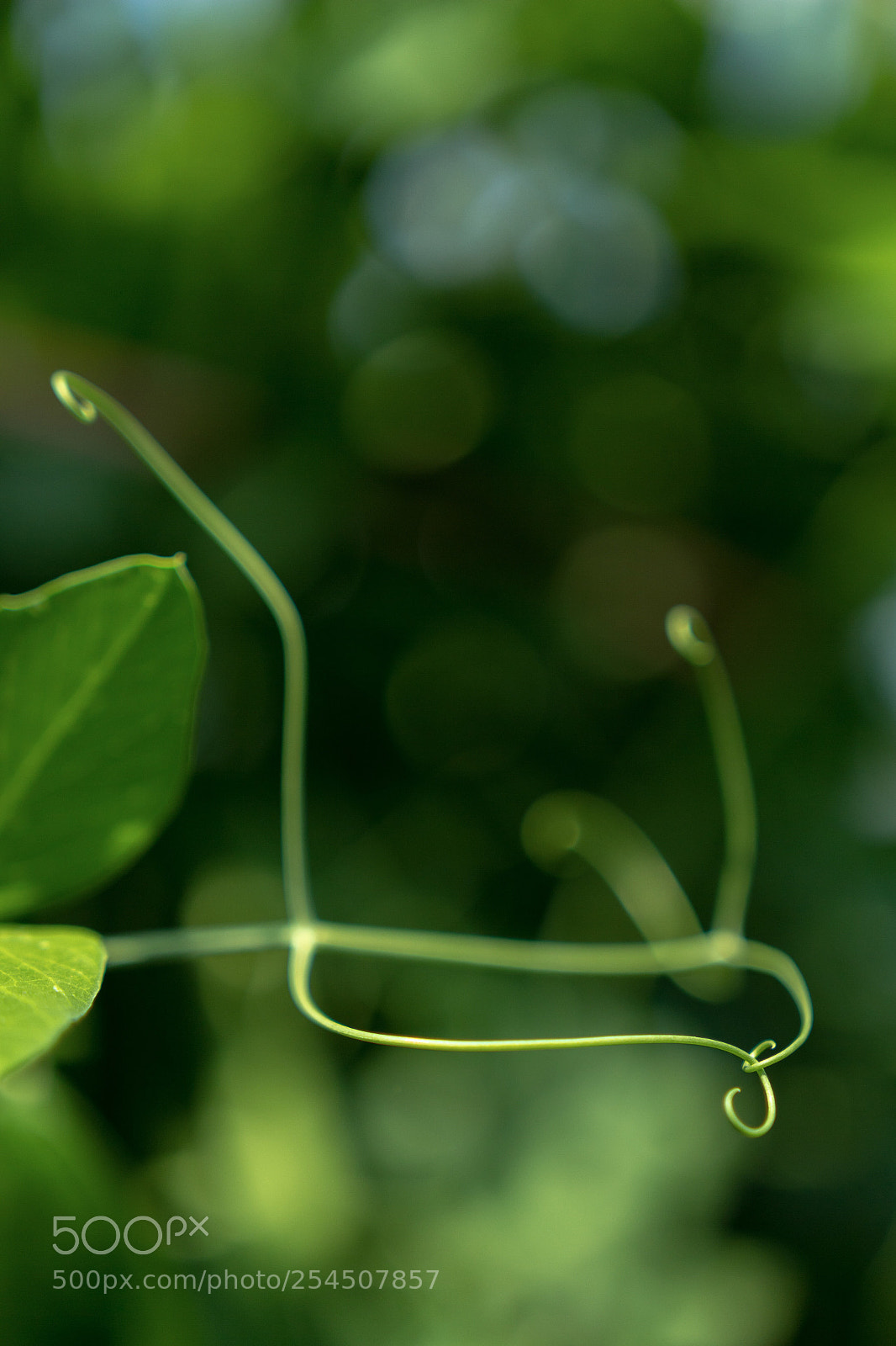 Canon EOS 60D sample photo. Untitled photography