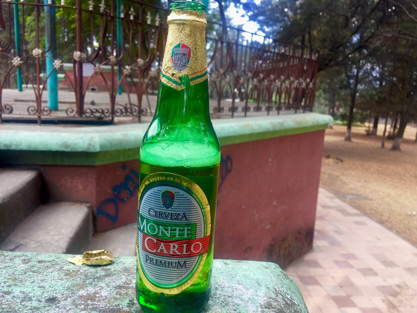 Apple iPhone 6 sample photo. Untitled photography