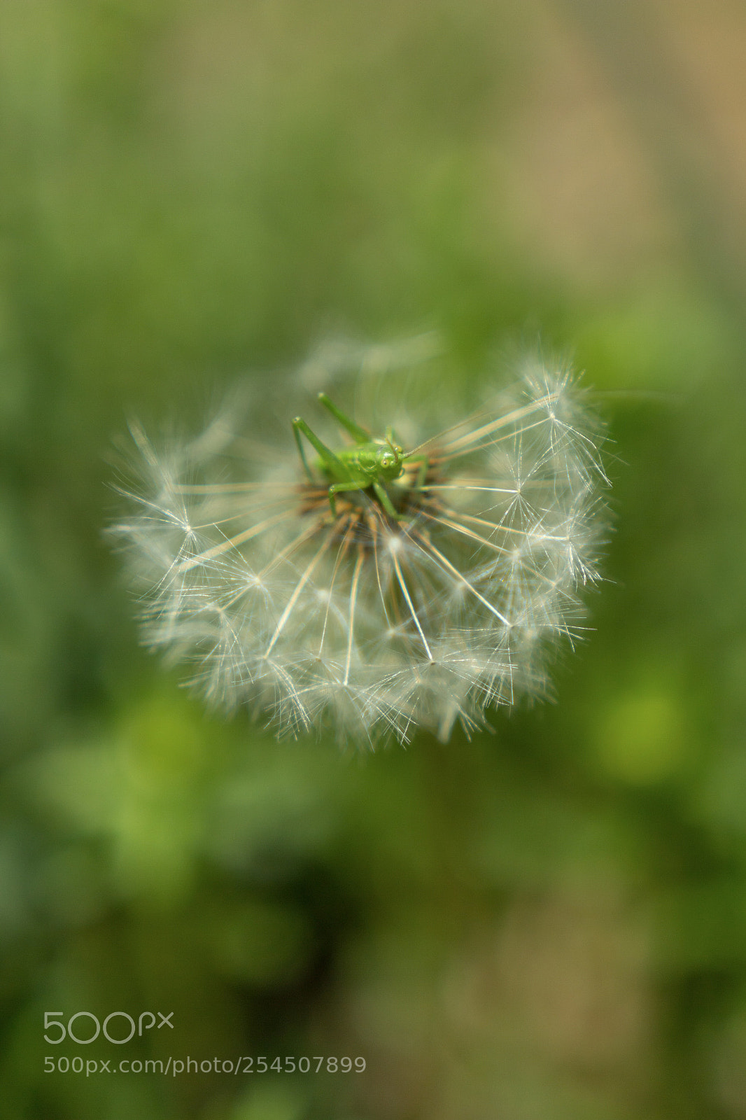 Canon EOS 60D sample photo. Untitled photography