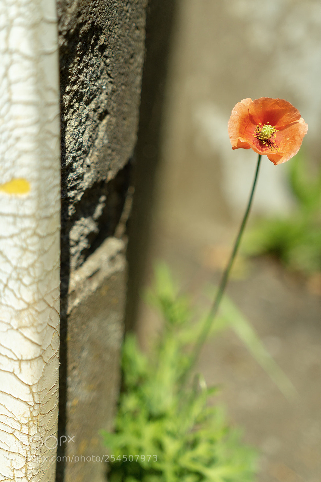 Canon EOS 60D sample photo. Untitled photography