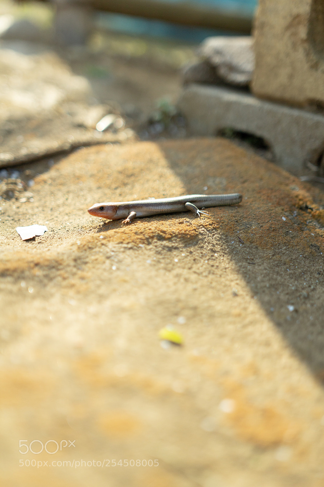 Canon EOS 60D sample photo. Untitled photography