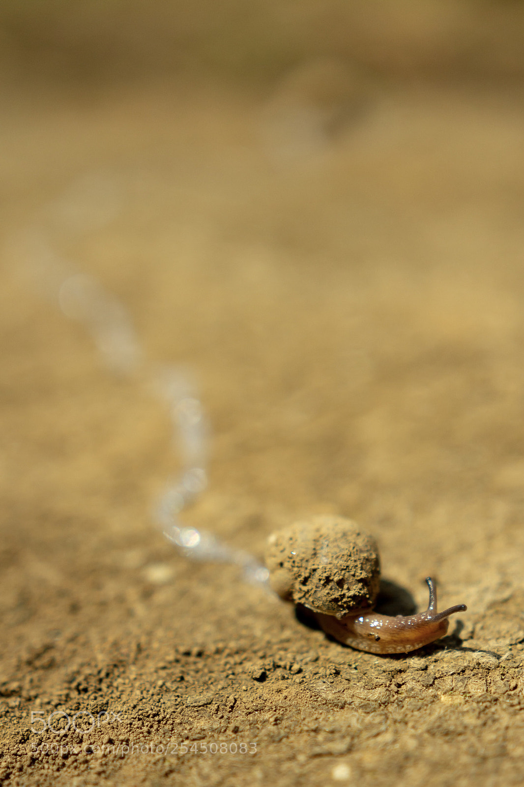 Canon EOS 60D sample photo. Untitled photography