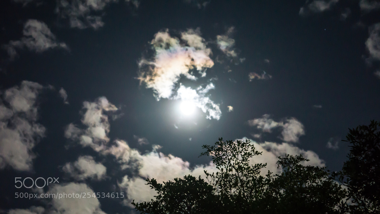 Sony a6000 sample photo. 20180418-12.jpg photography