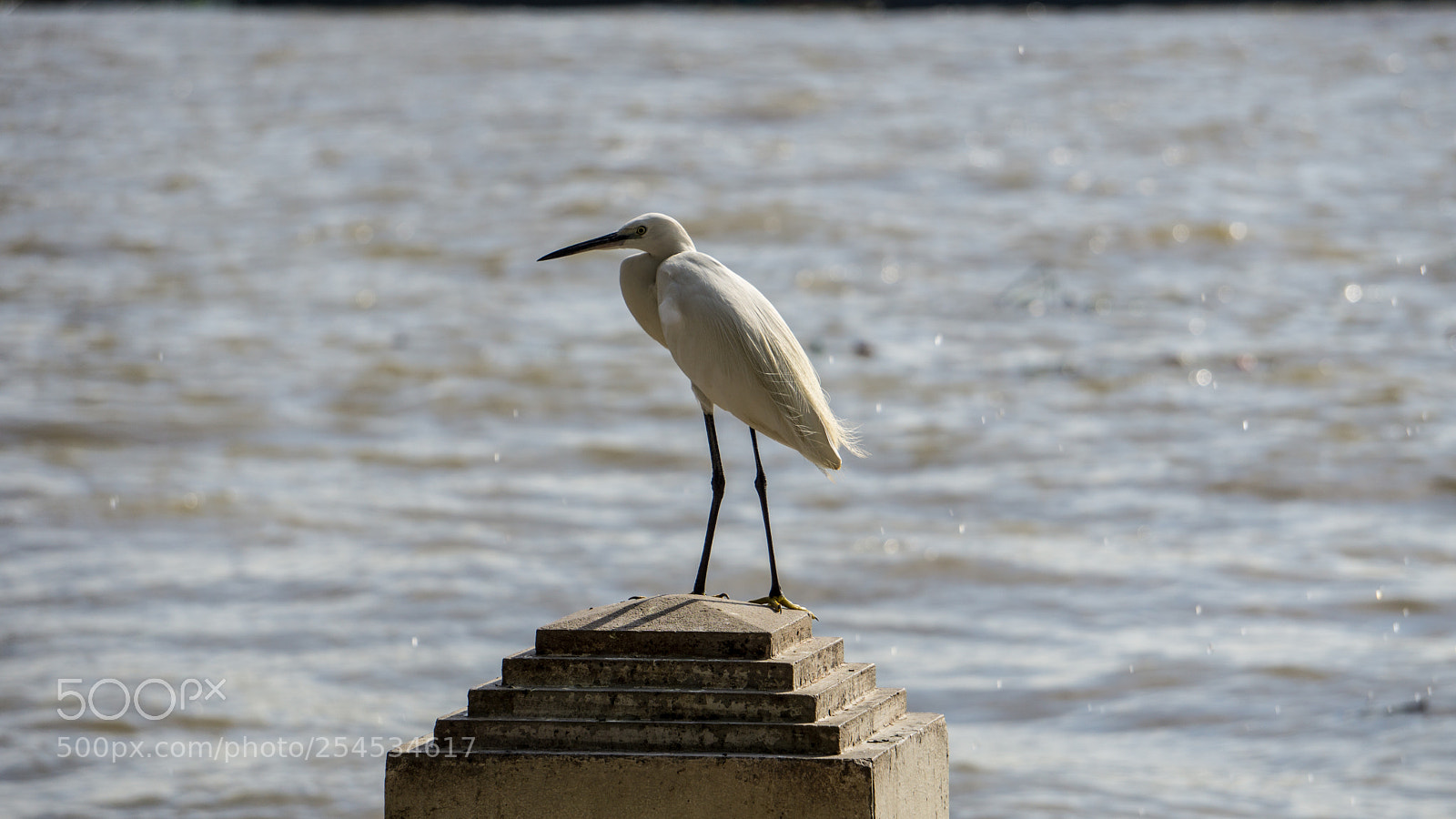 Sony a6000 sample photo. 20180418-13.jpg photography