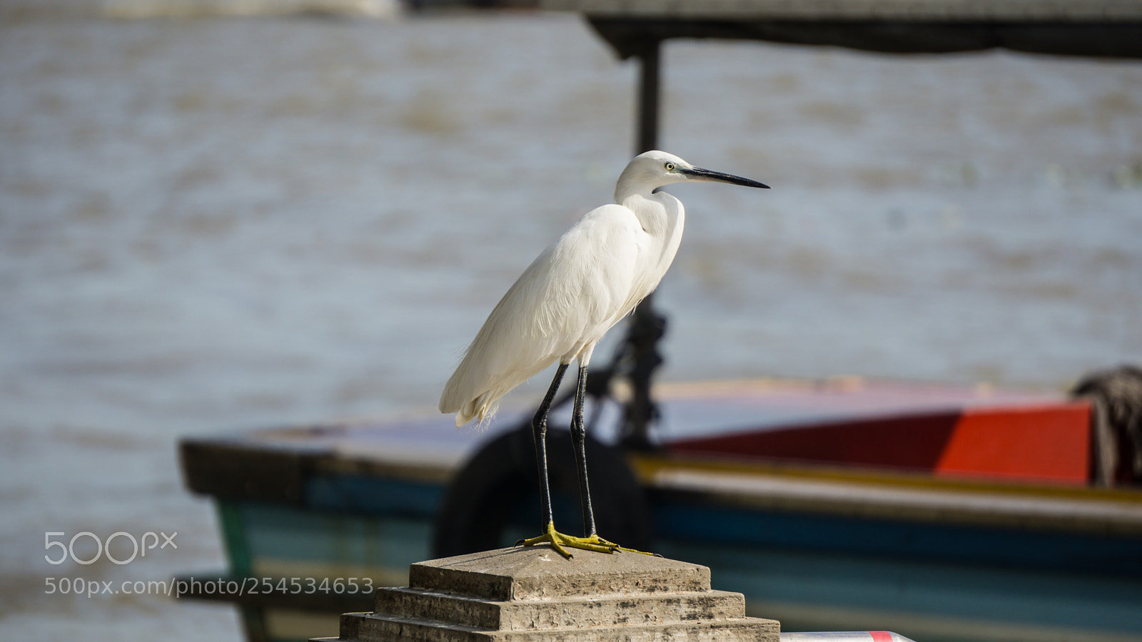 Sony a6000 sample photo. 20180418-14.jpg photography