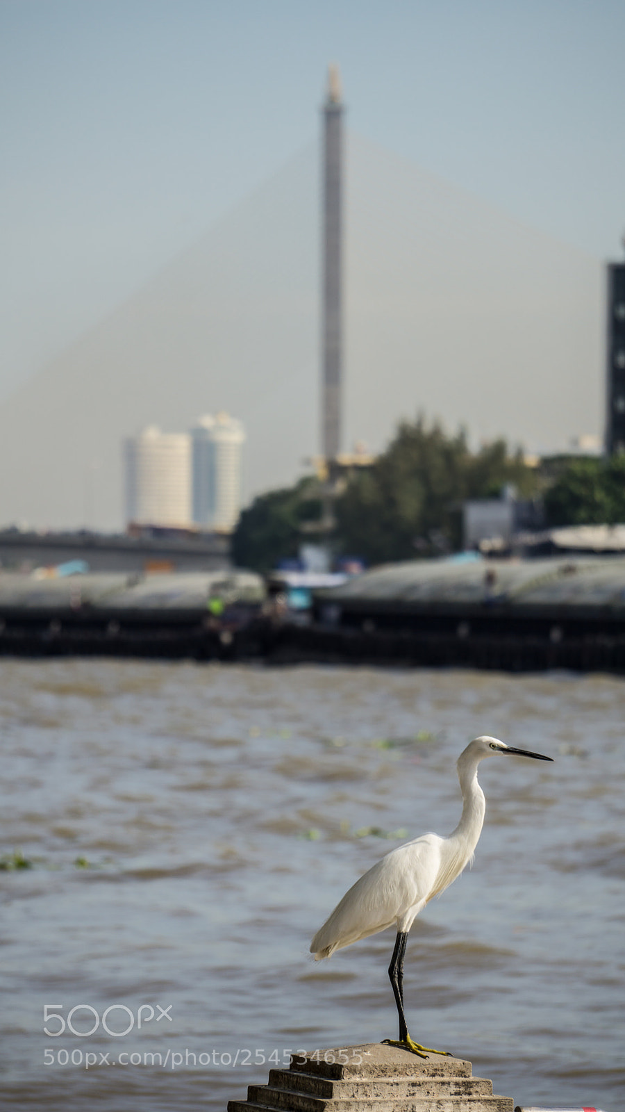 Sony a6000 sample photo. 20180418-15.jpg photography