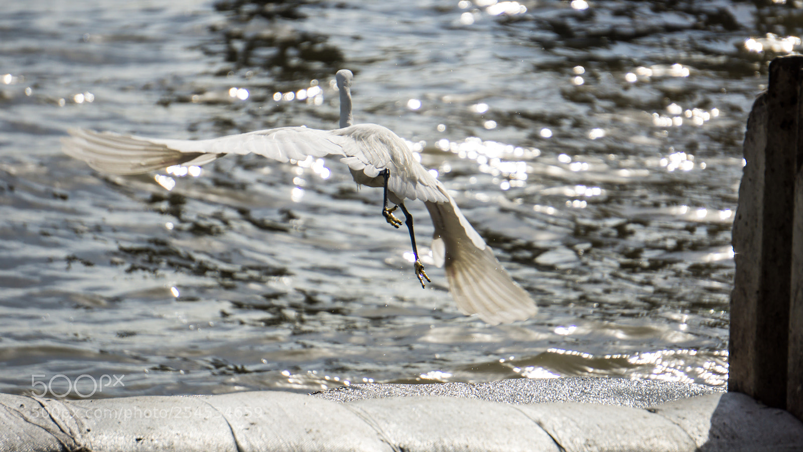 Sony a6000 sample photo. 20180418-16.jpg photography