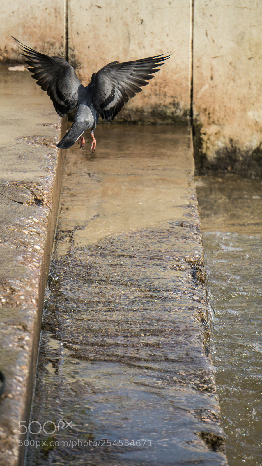 Sony a6000 sample photo. 20180418-17.jpg photography