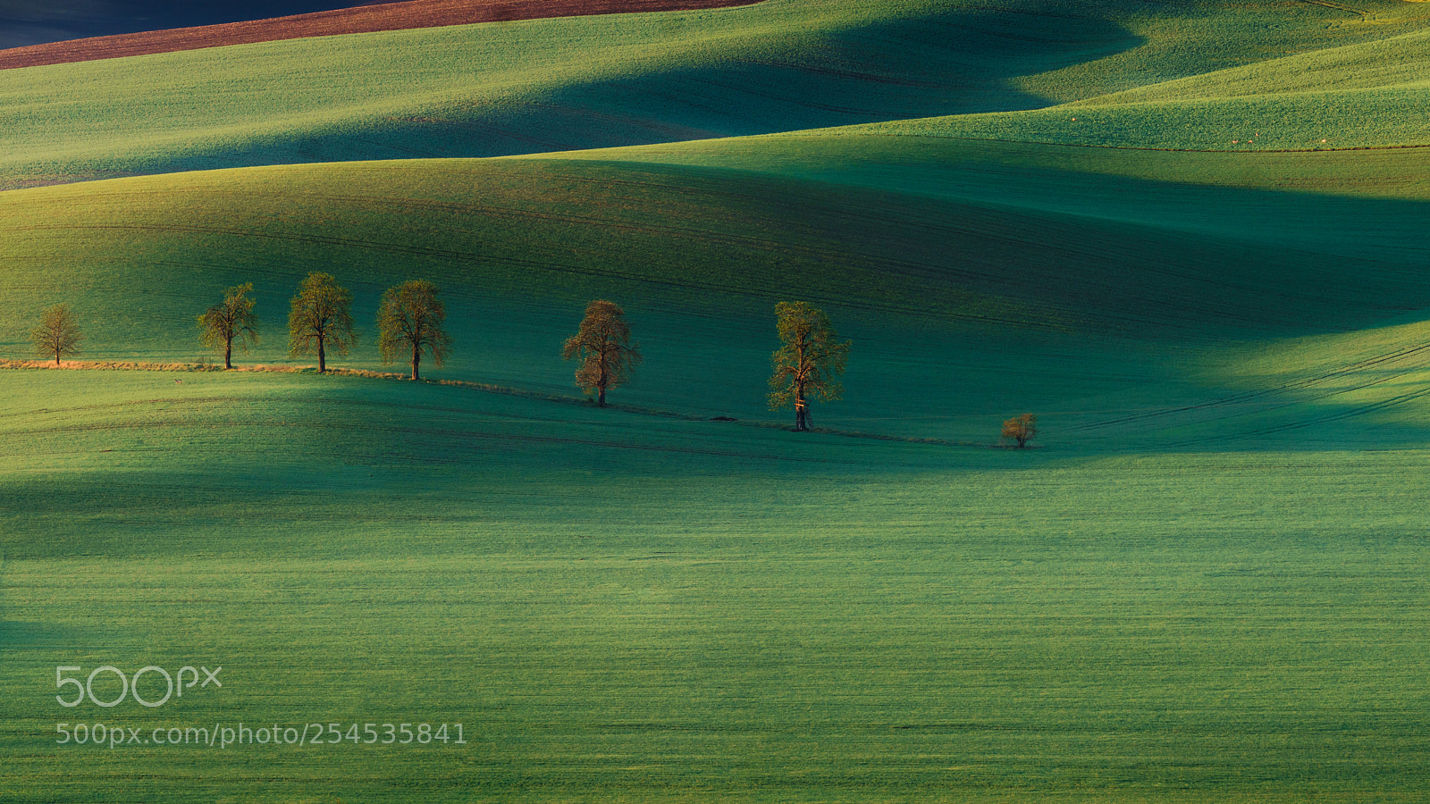 Sony a6500 sample photo. Moravia photography
