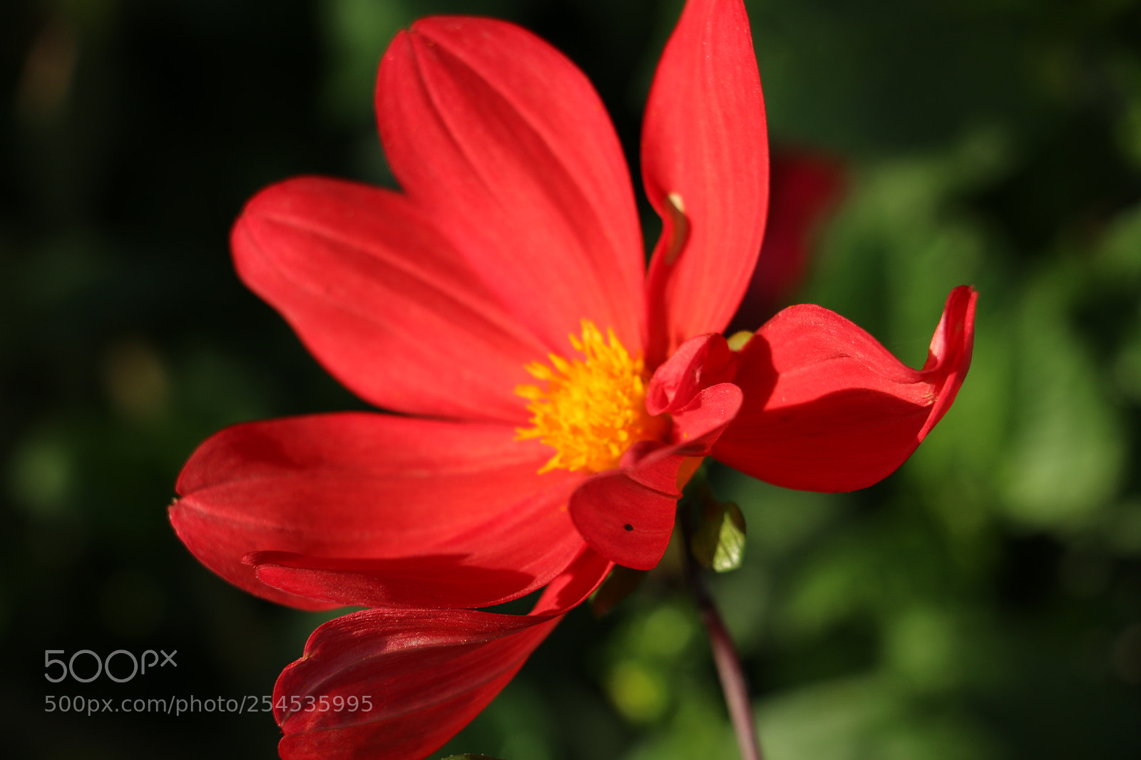 Canon EOS 70D sample photo. Untitled photography