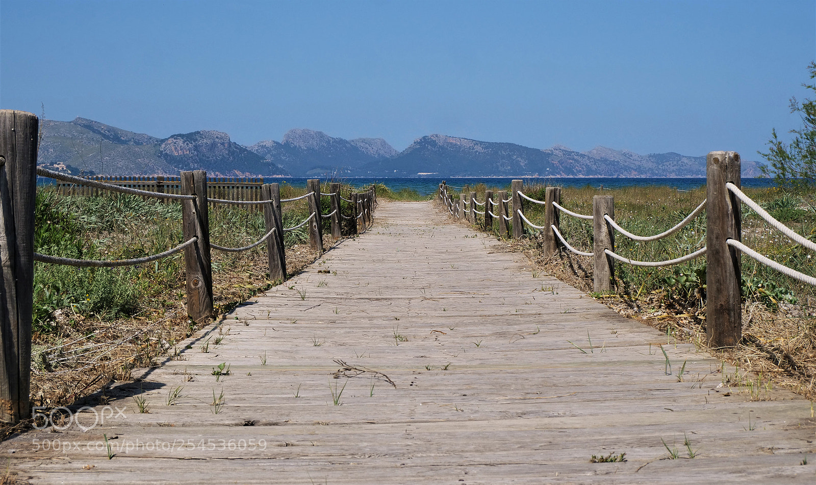 Panasonic Lumix DC-GH5 sample photo. Walk to the beach! photography