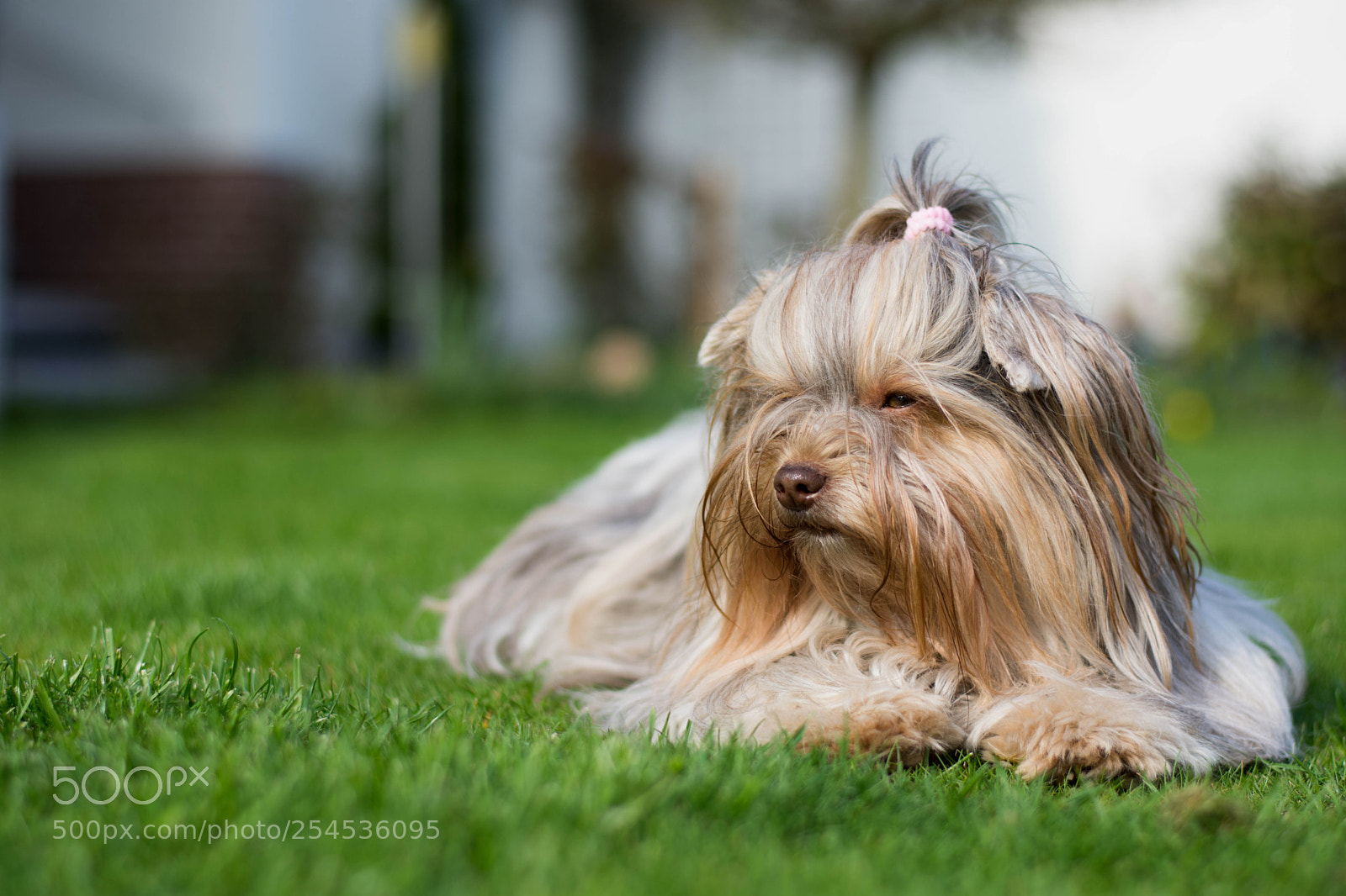 Nikon D7200 sample photo. Sun bathing photography