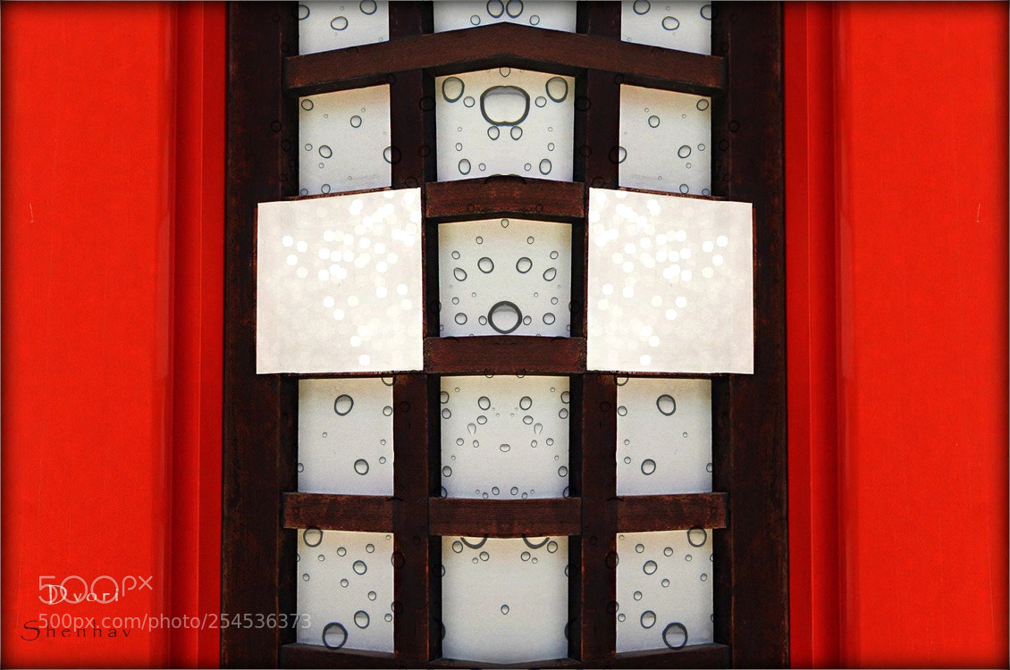 Canon EOS 5D Mark II sample photo. Red,white, black photography