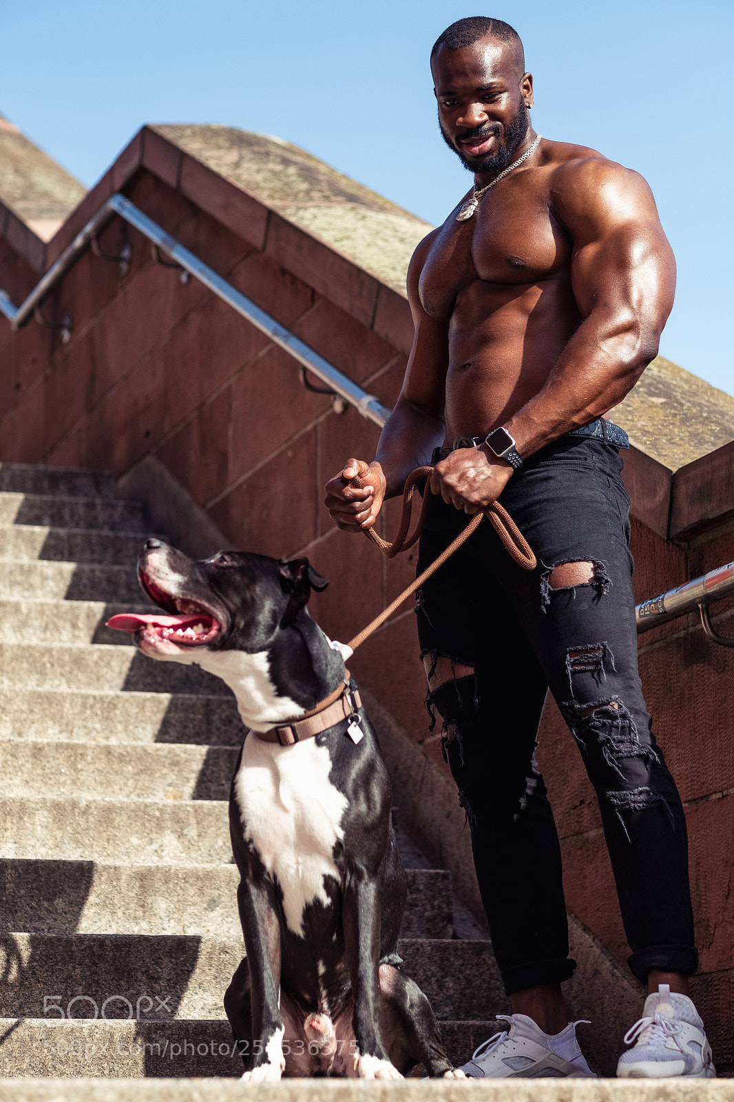 Fujifilm X-T2 sample photo. Gedeon with dog photography