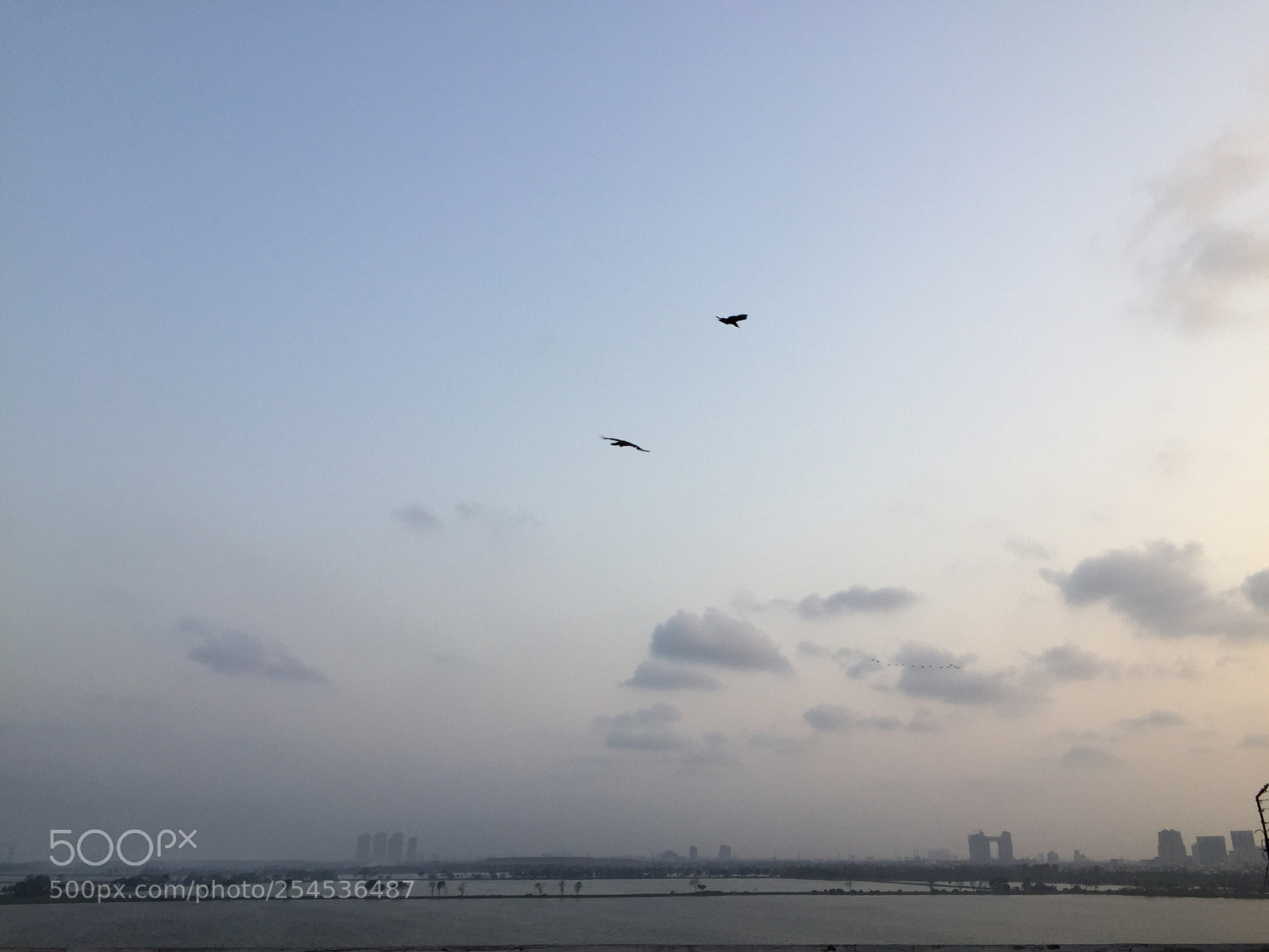 Apple iPhone 6 sample photo. Fly_high photography