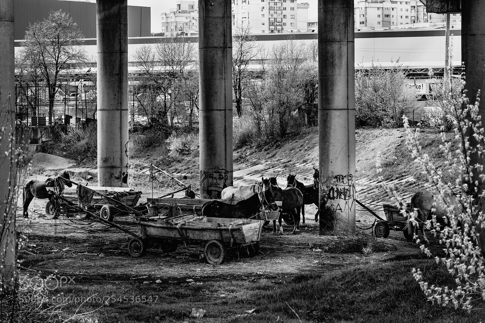 Fujifilm X-T2 sample photo. Gypsy camp photography