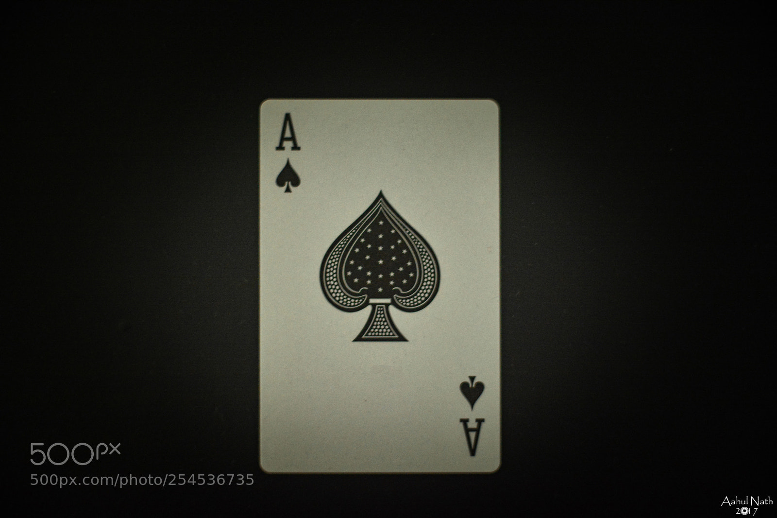 Nikon D7100 sample photo. Classic ace. photography