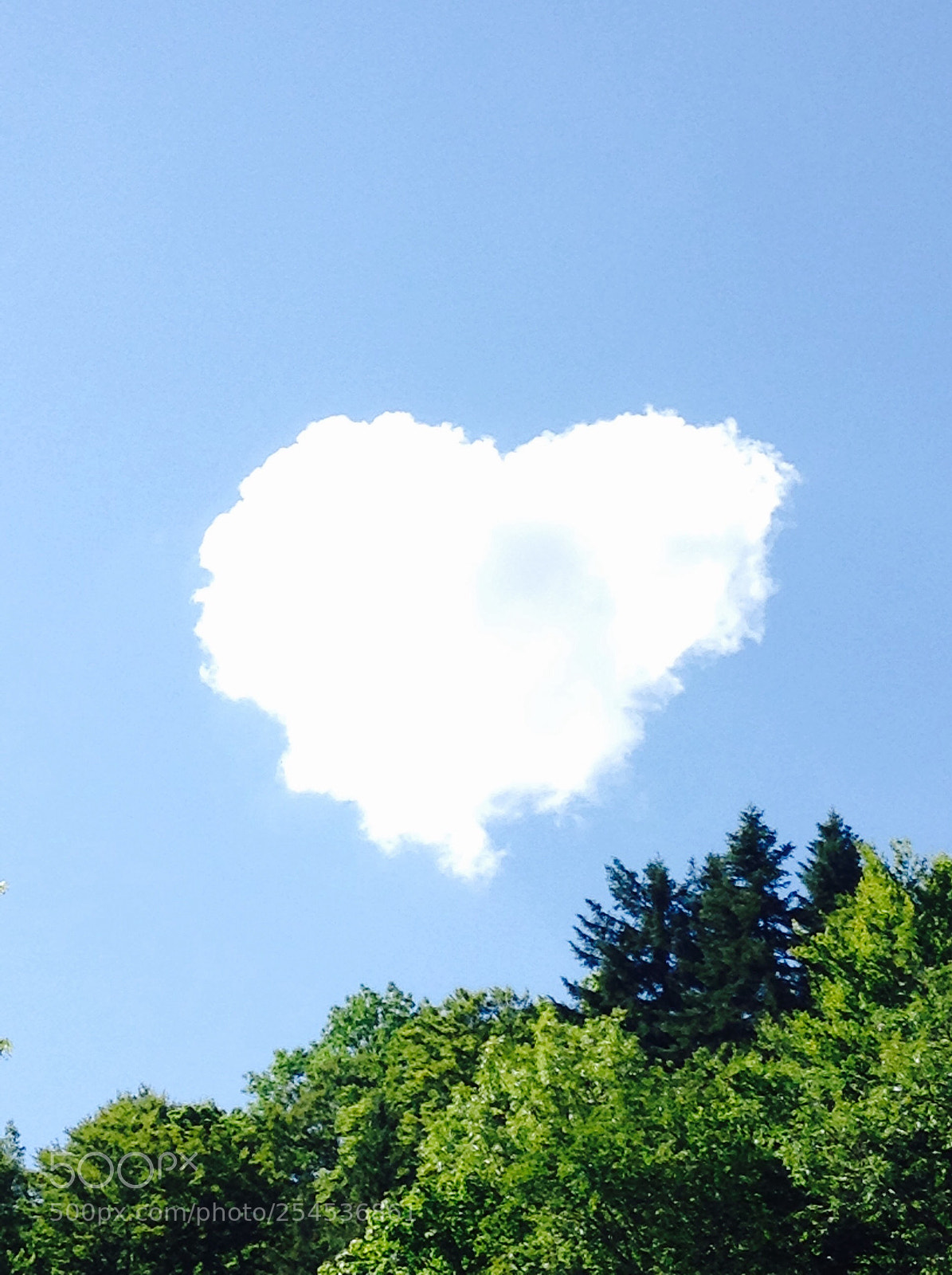 Apple iPod touch sample photo. Heart  photography