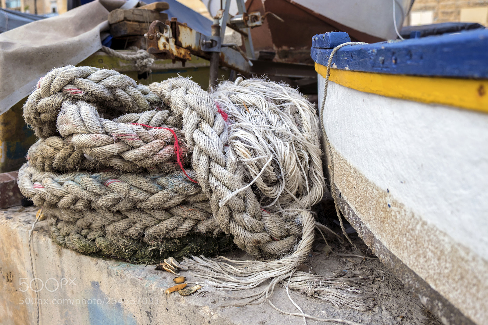 Fujifilm X-T20 sample photo. Dscf photography
