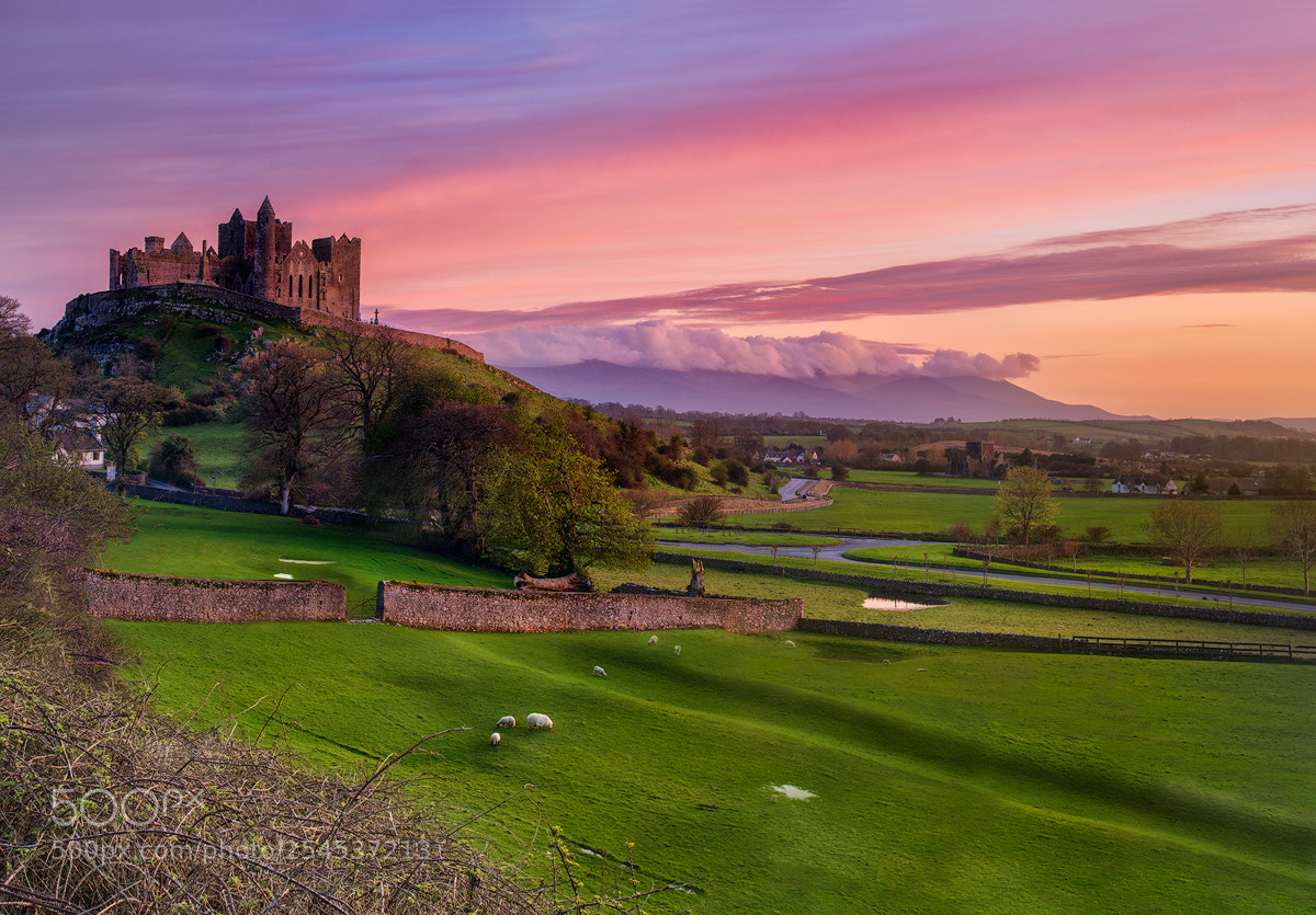 Nikon D810 sample photo. The rock of cashel photography