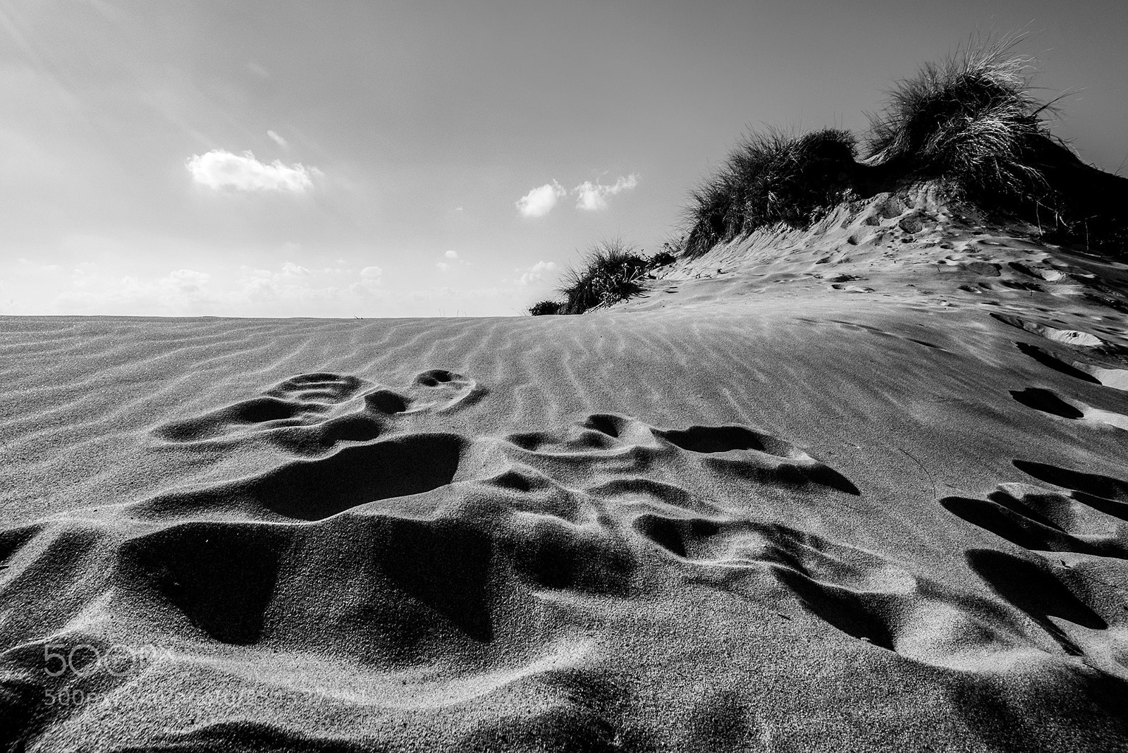 Nikon D800 sample photo. Romanos... photography