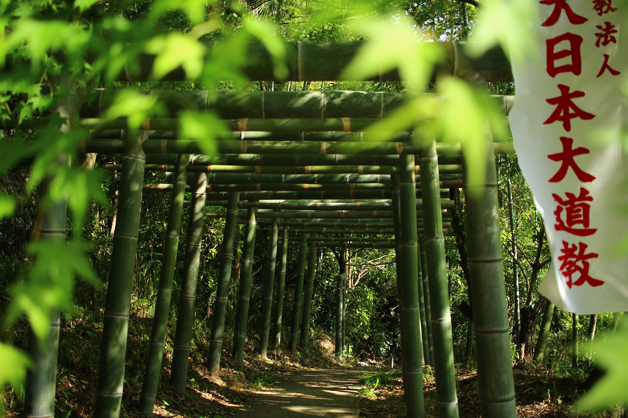 Canon EOS 100D (EOS Rebel SL1 / EOS Kiss X7) sample photo. Bamboo torii gates photography