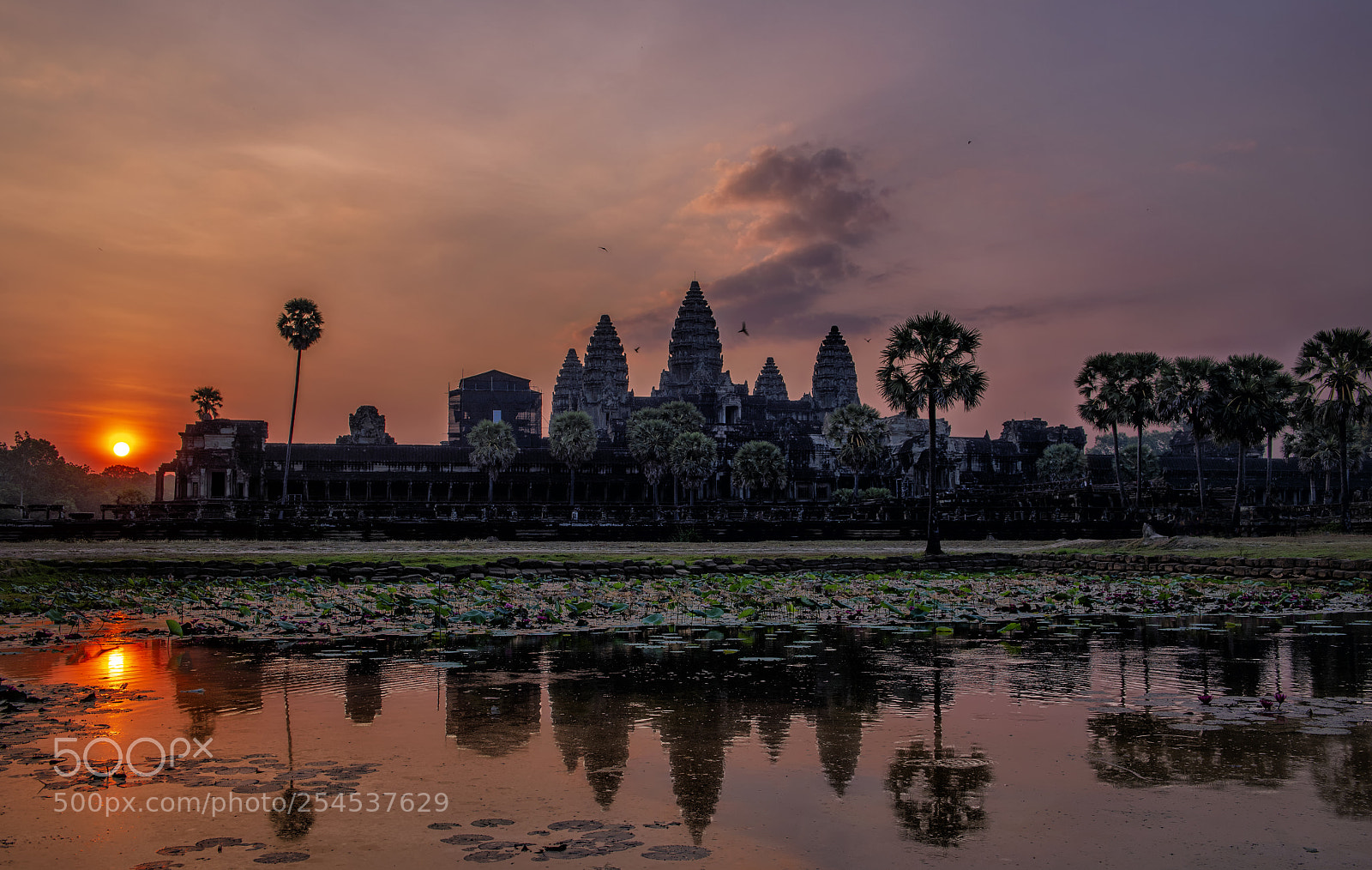 Nikon D850 sample photo. Angkor wat temple, siem photography